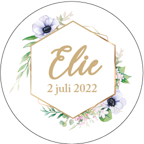 Ellie - Sticker
